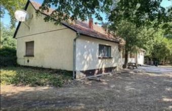 Eladó Bácsszőlősi tanya hirdetés (49734313)