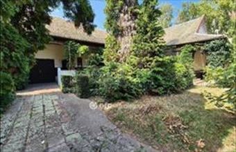 Eladó Szentesi családi ház hirdetés (55343452)