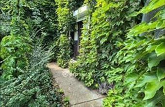 Eladó Szentesi családi ház hirdetés (44944734)