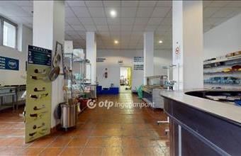 Eladó Miskolci üzlethelyiség utcafronton hirdetés (44454977)