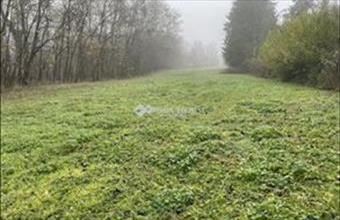 Eladó Zalaegerszegi egyéb telek hirdetés (42273743)