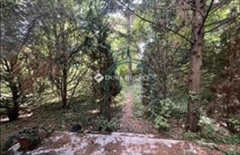 Eladó Budapest XII. kerületi lakóövezeti telek hirdetés (52289751)