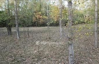 Eladó Pusztamérgesi egyéb mezőgazdasági ingatlan hirdetés (53282454)