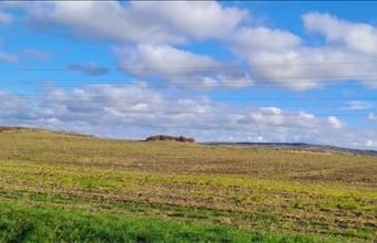Eladó Székesfehérvári termőföld, szántó hirdetés (34628575)