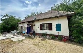 Eladó Nagykátai tanya hirdetés (54844275)