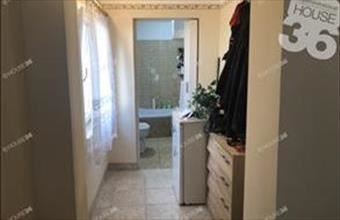 Eladó Tiszaalpári tanya hirdetés (44349913)