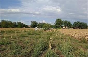 Eladó Seregélyesi lakóövezeti telek hirdetés (42974844)