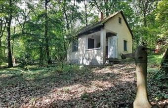 Eladó Kismarosi hétvégi ház hirdetés (13384927)