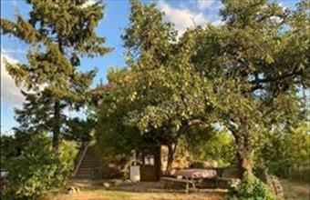 Eladó Tapolcai családi ház hirdetés (59473638)