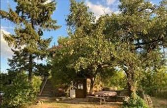 Eladó Tapolcai családi ház hirdetés (59473638)