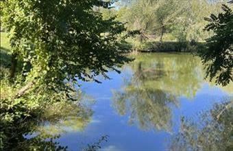 Eladó Cséri családi ház hirdetés (43844542)