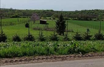 Eladó Demjéni egyéb mezőgazdasági ingatlan hirdetés (45785637)