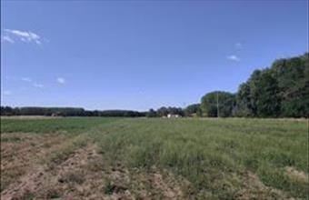 Eladó Hernádi egyéb telek hirdetés (99789925)