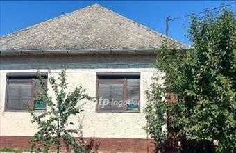 Eladó Kunszentmártoni családi ház hirdetés (99465456)