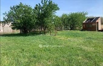 Eladó Érpataki tanya hirdetés (94973974)