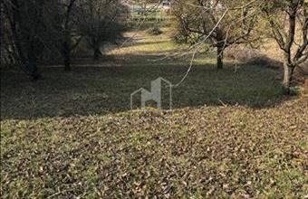 Eladó Litéri lakóövezeti telek hirdetés (23523472)