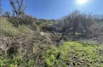 Eladó Sárisápi lakóövezeti telek hirdetés (99442833)