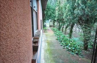 Eladó Paszabi családi ház hirdetés (54375941)