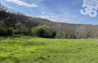 Eladó Szekszárdi külterületi telek hirdetés (74342633)