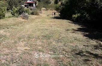 Eladó Gyódi külterületi telek hirdetés (54853332)