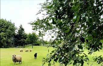 Eladó Budapest XVII. kerületi egyéb telek hirdetés (77724954)