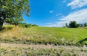 Eladó Komáromi egyéb mezőgazdasági ingatlan hirdetés (47378317)