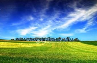 Eladó Tárnoki külterületi telek hirdetés (51343495)