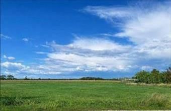 Eladó Szigetcsépi egyéb telek hirdetés (47374638)