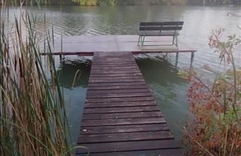 Eladó Mesterszállási hétvégi ház hirdetés (32978793)