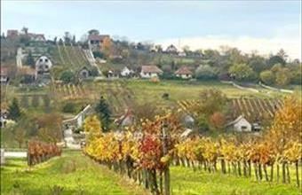 Eladó Zamárdi hétvégi ház hirdetés (93353178)