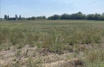 Eladó Kecskeméti termőföld, szántó hirdetés (43277322)