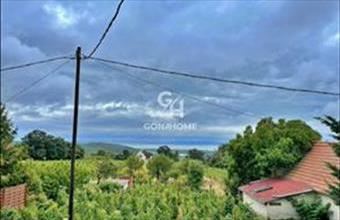 Eladó Mencshelyi zártkert hirdetés (66447798)