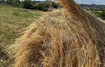 Eladó Törökbálinti egyéb telek hirdetés (42776334)