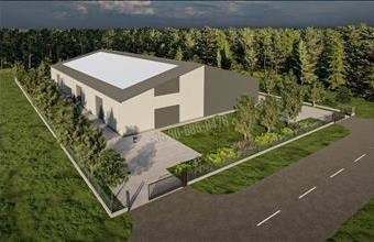 Kiadó Dunavarsányi raktár hirdetés (74546873)