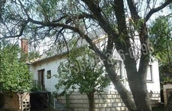 Eladó Felsőörsi családi ház hirdetés (84433933)