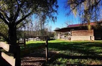 Eladó Andocsi lakóövezeti telek hirdetés (52747733)