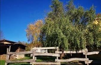 Eladó Andocsi lakóövezeti telek hirdetés (52747733)