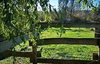 Eladó Andocsi lakóövezeti telek hirdetés (52747733)