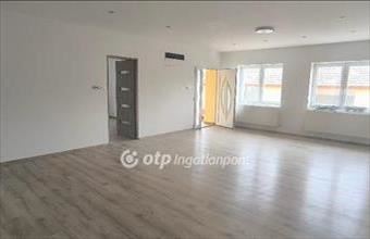 Eladó Csanyteleki családi ház hirdetés (34159459)