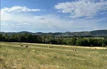 Eladó Budaörsi egyéb telek hirdetés (22379334)