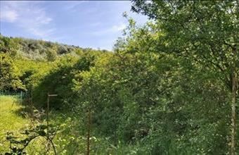 Eladó Váci egyéb telek hirdetés (44747123)