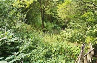 Eladó Budapest II. kerületi egyéb telek hirdetés (14329389)