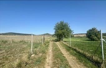 Eladó Velencei termőföld, szántó hirdetés (32213972)