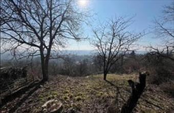 Eladó Miskolci egyéb mezőgazdasági ingatlan hirdetés (72654557)