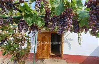 Eladó Mezőkovácsházai családi ház hirdetés (38744473)