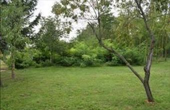 Eladó Bakonyszombathelyi lakóövezeti telek hirdetés (95483463)