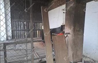 Eladó Istvándi egyéb ipari ingatlan hirdetés (99639844)