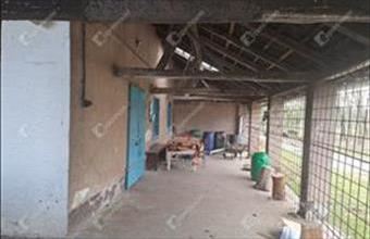 Eladó Istvándi egyéb ipari ingatlan hirdetés (99639844)