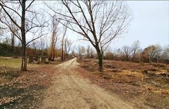 Eladó Martonvásári egyéb telek hirdetés (83339682)