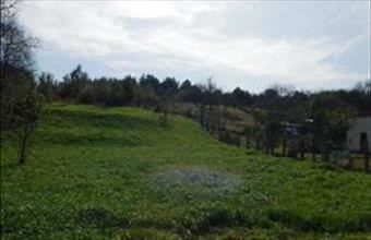 Eladó Parádi egyéb telek hirdetés (38111438)